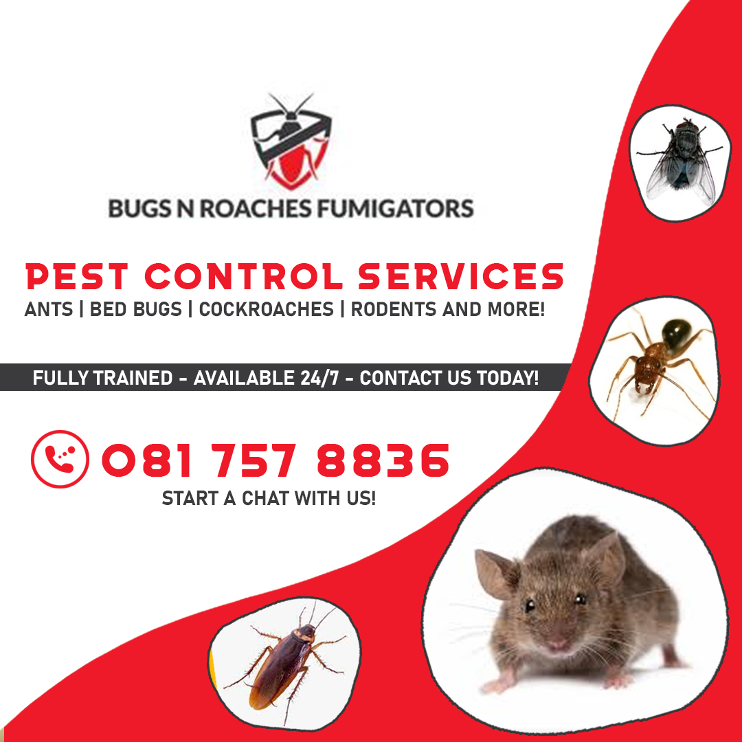 Pest Control and Window Cleaning Services 